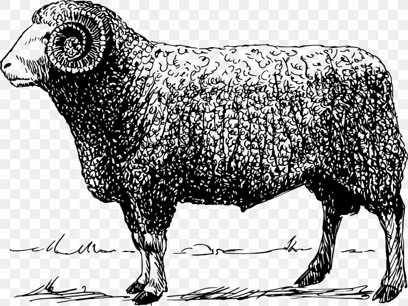 Public Domain Sheep Clip Art, PNG, 2391x1796px, Public Domain, Black And White, Bull, Caprinae, Cattle Download Free
