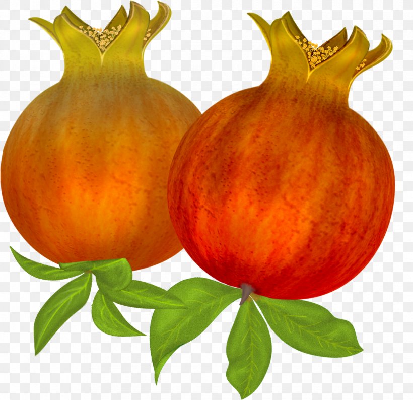 Calabaza Pomegranate Auglis, PNG, 1216x1178px, Calabaza, Auglis, Cucurbita, Diospyros, Food Download Free