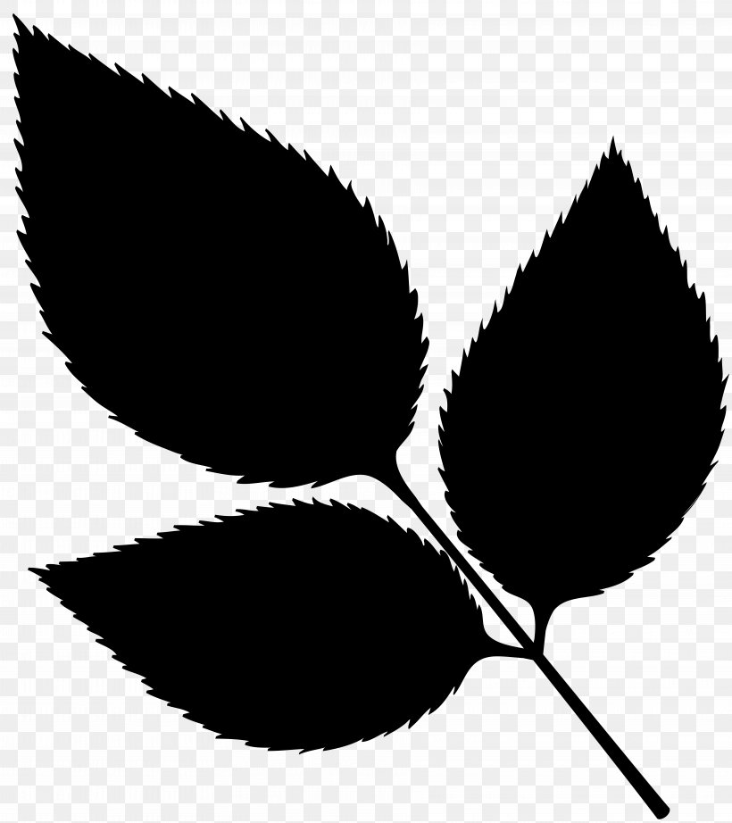 Leaf Clip Art Plant Stem Line Pattern, PNG, 7109x8000px, Leaf, Black M, Blackandwhite, Botany, Flower Download Free