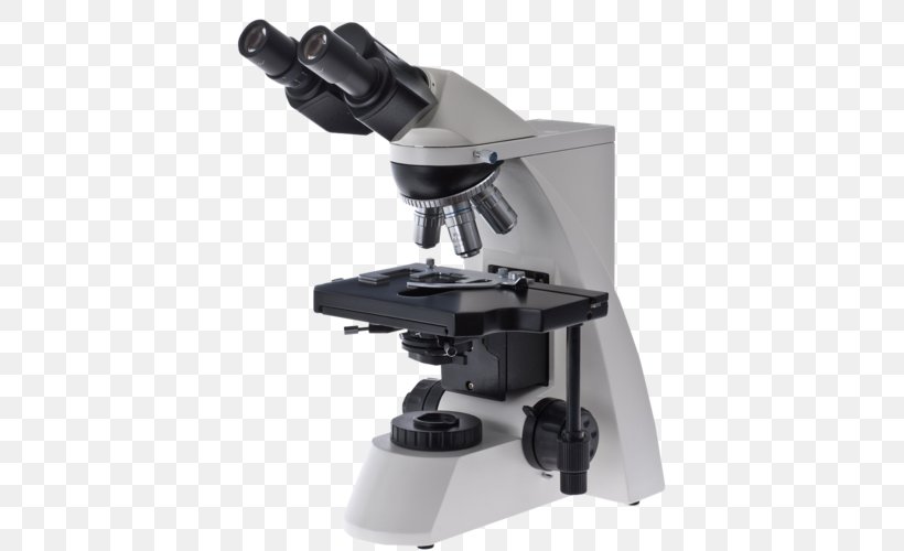 Optical Microscope Optics Phase Contrast Microscopy Light, PNG, 500x500px, Optical Microscope, Electron Microscope, Eyepiece, Fluorescence Microscope, Inverted Microscope Download Free