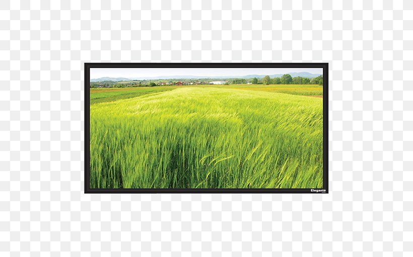 Projection Screens Multimedia Projectors Cinema, PNG, 510x511px, Projection Screens, Agriculture, Barley, Bluray Disc, Cereal Download Free
