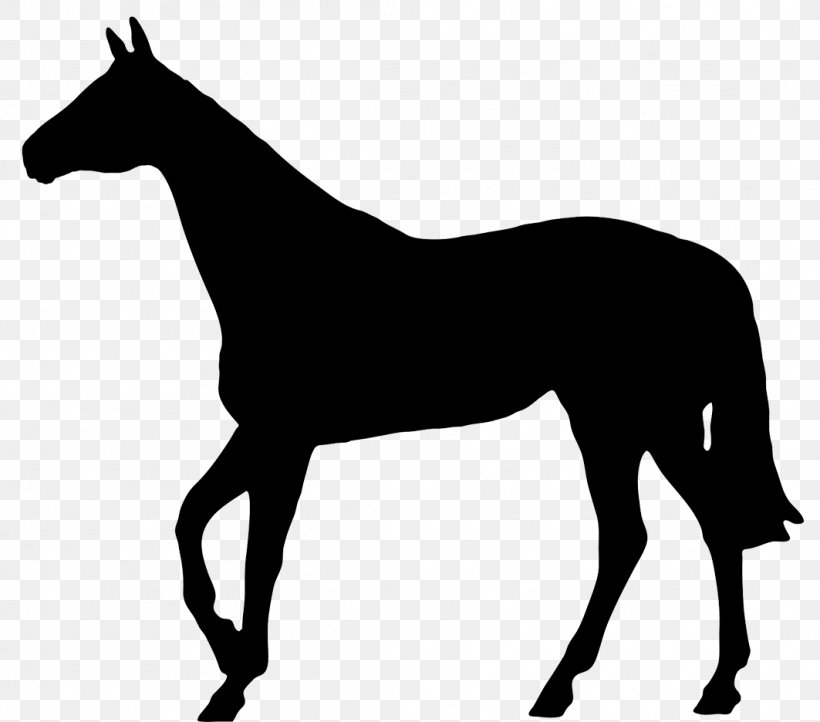 Thoroughbred Pony Silhouette Horse Racing, PNG, 1063x936px, Thoroughbred, Black And White, Bridle, Colt, English Riding Download Free