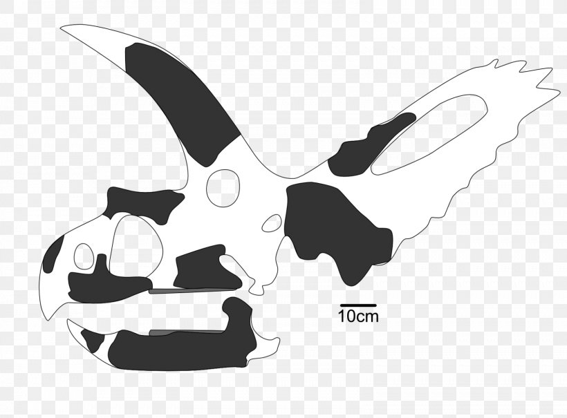 Coahuilaceratops Pentaceratops Cerro Del Pueblo Formation Kritosaurus Chasmosaurus, PNG, 1599x1180px, Coahuilaceratops, Bird, Black, Black And White, Campanian Download Free