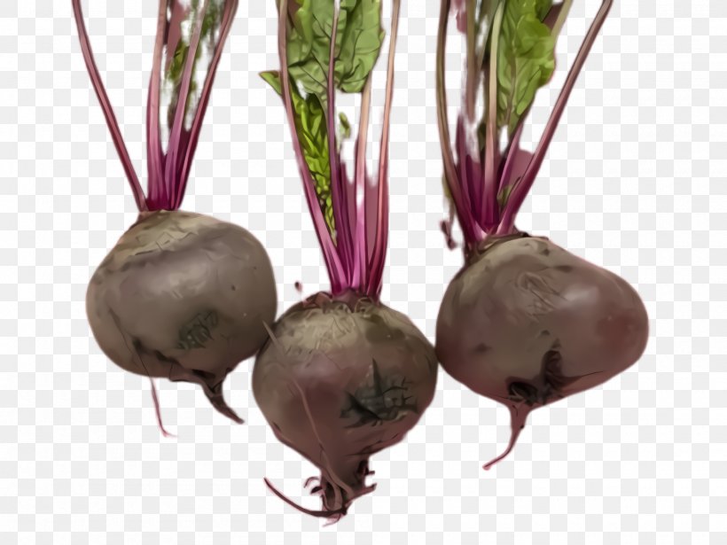 Beet Beetroot Radish Vegetable Turnip, PNG, 2000x1500px, Beet, Beet Greens, Beetroot, Food, Plant Download Free
