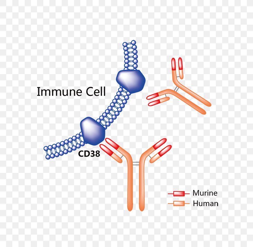 Trastuzumab Emtansine Pharmaceutical Drug Vemurafenib Rituximab, PNG, 800x800px, Trastuzumab Emtansine, Antibody, Biogen, Brand, Diagram Download Free