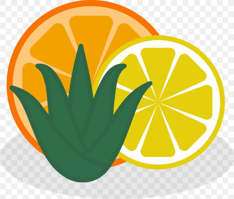 Vector Graphics Patrick Montag Photography Stock Illustration, PNG, 1498x1271px, Photography, Citrus, Fruit, Istock, Leaf Download Free
