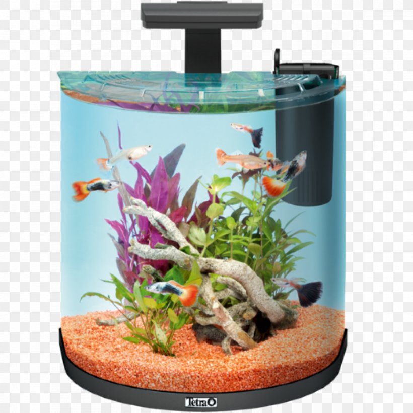 Aquarium Tetra Goldfish Liter Pet, PNG, 1200x1200px, Aquarium, Aquarium Decor, Aquarium Filters, Fish, Fishkeeping Download Free