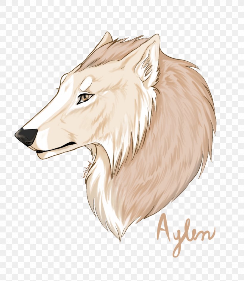 Coyote Illustration Sketch Snout Wildlife, PNG, 900x1036px, Coyote, Carnivoran, Dog Like Mammal, Drawing, Head Download Free