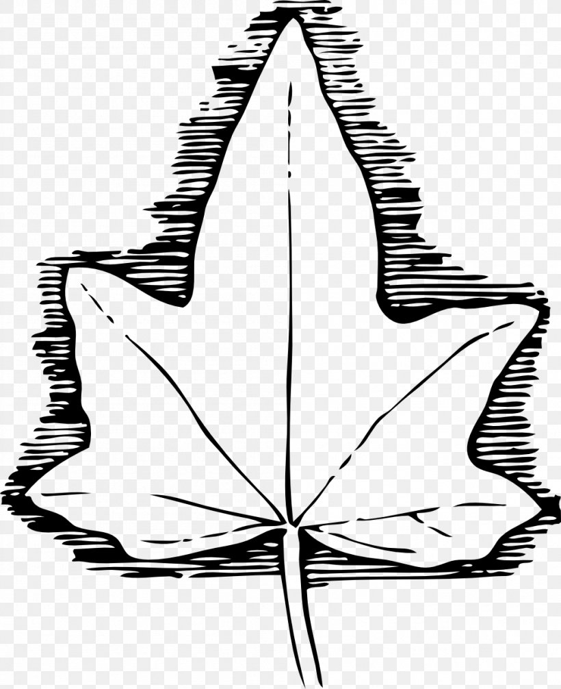 Ivy Leaf Drawing Clip Art, PNG, 999x1226px, Ivy, Artwork, Black And White, Drawing, Flora Download Free