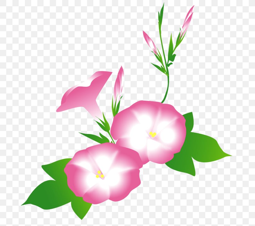Petal Floral Design Rosaceae Plant Stem, PNG, 709x725px, Petal, Branch, Branching, Flora, Floral Design Download Free