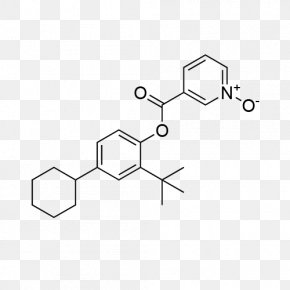 Structure-Based Drug Design Structure-Based Drug Discovery ...