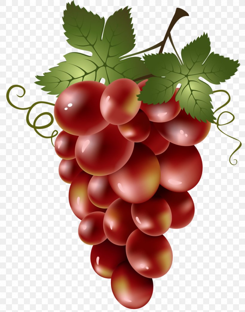 Red Wine Common Grape Vine Clip Art, PNG, 1003x1280px, Red Wine, Berry, Cherry, Common Grape Vine, Cranberry Download Free