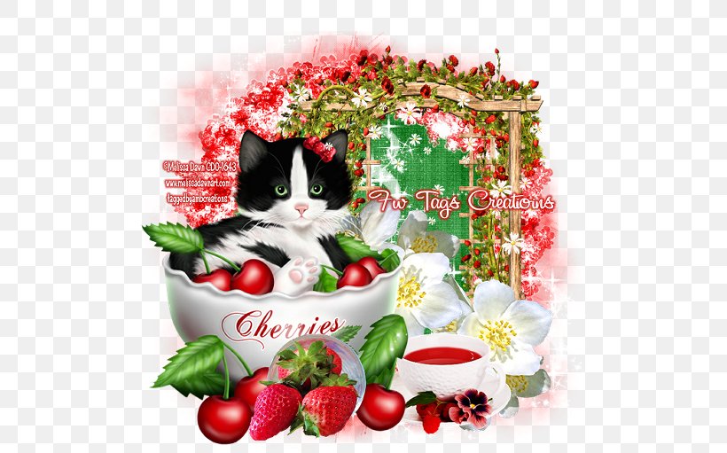 Strawberry Kitten Canvas Melissa Dawn, PNG, 550x511px, Strawberry, Canvas, Cat, Flower, Food Download Free