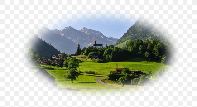 Desktop Wallpaper Switzerland Alps Laptop Tree, PNG, 800x445px, Switzerland, Alps, Computer, Desktop Environment, Grass Download Free