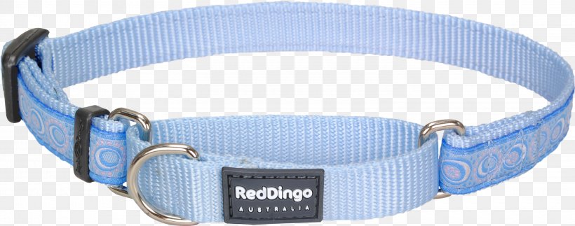 Dog Collar Martingale Dingo, PNG, 3000x1185px, Dog Collar, Blue, Collar, Dingo, Dog Download Free