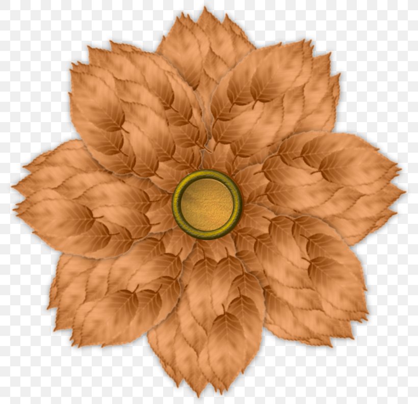 Flower Petal Clip Art, PNG, 800x794px, Flower, Blume, Bud, Drawing, Floral Design Download Free