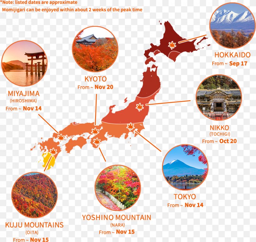 Japan World Map Blank Map, PNG, 861x814px, Japan, Blank Map, Cartography, Geography, Map Download Free