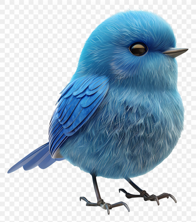 Blue Bird - Fluffy Blue Bird In 3D Art PNG
