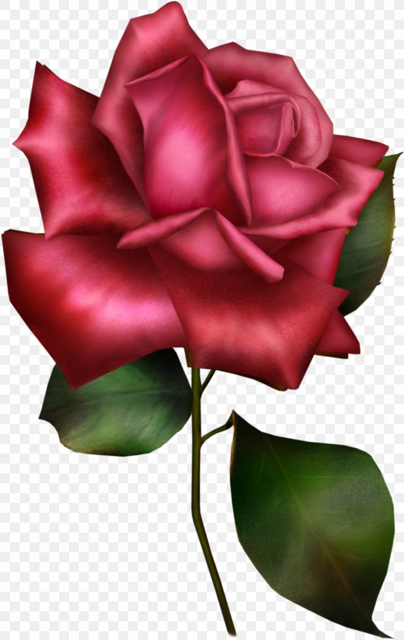 Flower Sentence Prayer Garden Roses Clip Art, PNG, 1242x1966px, Flower, Arumlily, Bud, China Rose, Cut Flowers Download Free