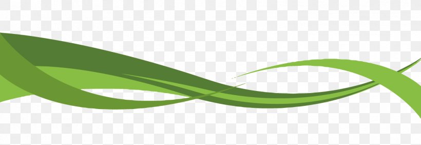 Logo Brand Green Font, PNG, 1453x500px, Logo, Brand, Grass, Green, Leaf Download Free