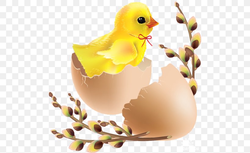 Easter Bunny Chicken Easter Egg Clip Art, PNG, 500x502px, Easter, Beak, Bird, Chicken, Child Download Free