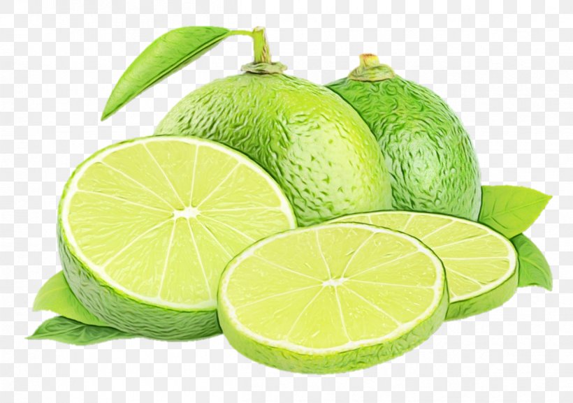 Persian Lime Lime Key Lime Citrus Lemon, PNG, 1213x855px, Watercolor, Citrus, Food, Fruit, Key Lime Download Free