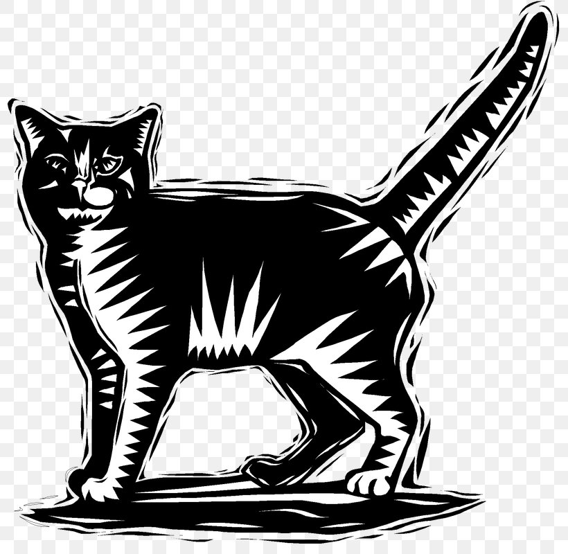 Whiskers Kitten Domestic Short-haired Cat Tabby Cat Black Cat, PNG, 801x800px, Whiskers, Black, Black And White, Black Cat, Canidae Download Free