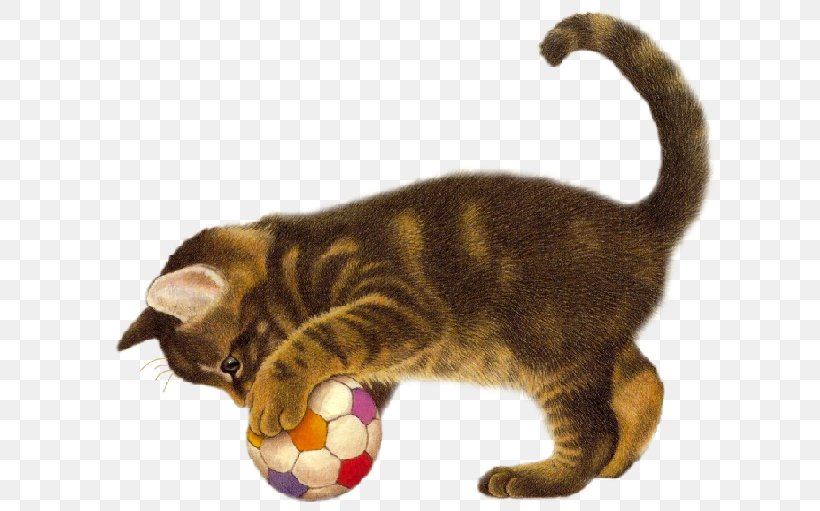 Cat Kitten Dog Animal, PNG, 612x511px, Cat, American Wirehair, Animal, Asian, Black Cat Download Free