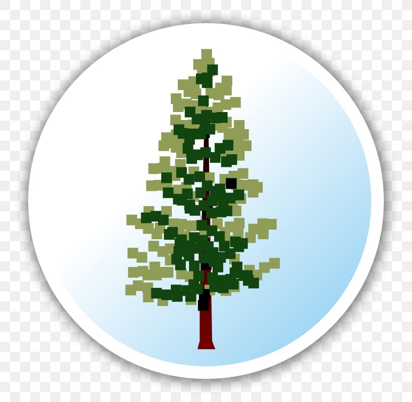 Christmas Tree Spruce Christmas Ornament Fir, PNG, 800x800px, Christmas Tree, Christmas, Christmas Decoration, Christmas Ornament, Conifer Download Free