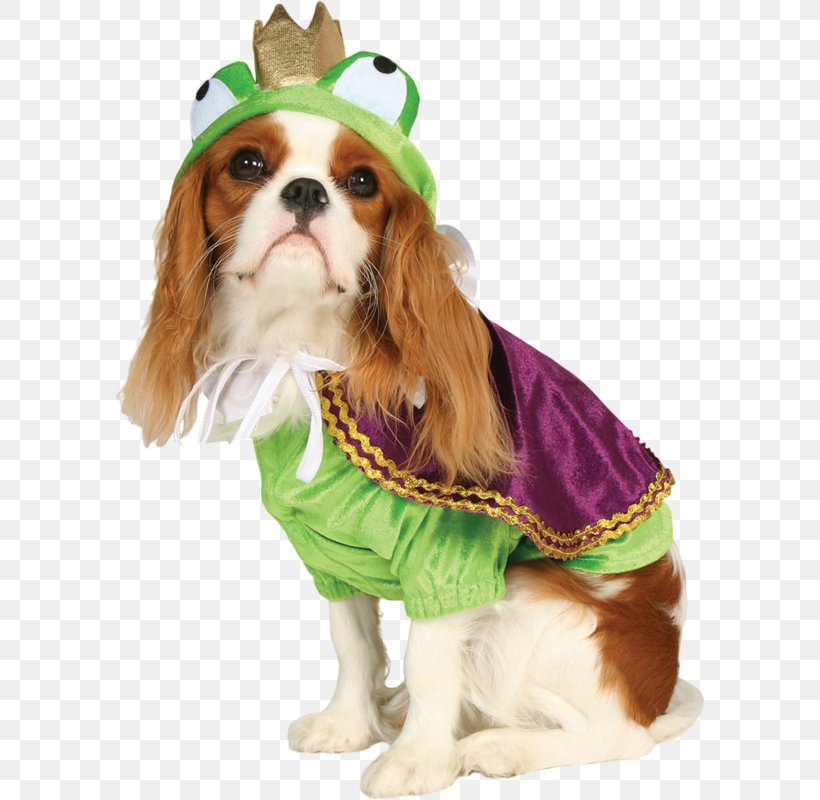 Dog Costume Pet Clothing, PNG, 590x800px, Dog, Animal, Breed, Buycostumescom, Cat Download Free