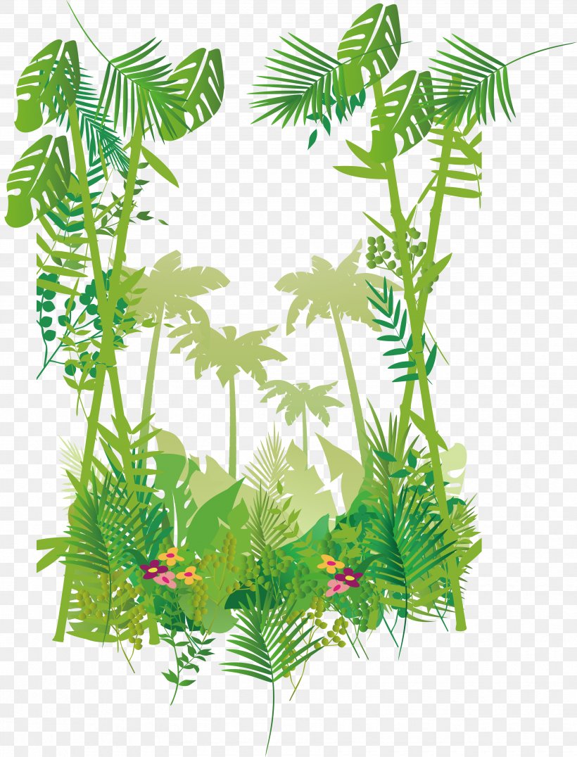 Forest Border Vector, PNG, 3505x4600px, Tropical Forest, Branch, Evergreen, Flora, Floral Design Download Free