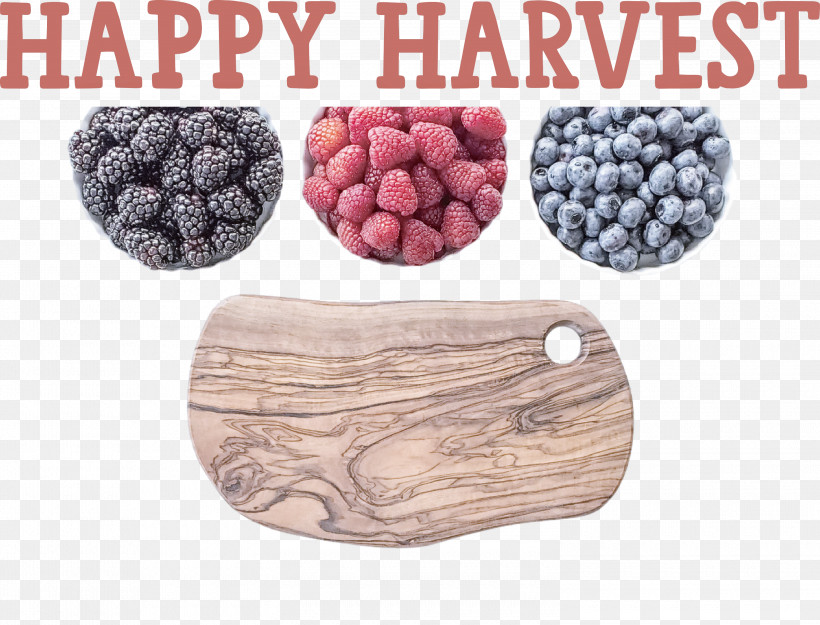 Happy Harvest Harvest Time, PNG, 3000x2288px, Happy Harvest, Berry, Blackberries, Blueberries, Fruit Download Free