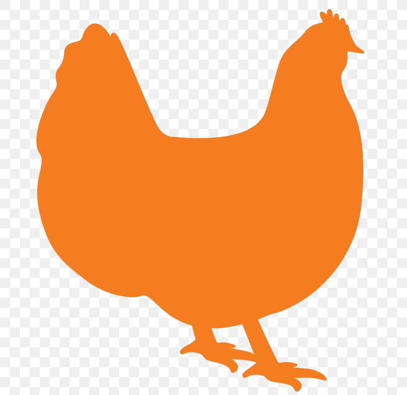 Rooster Orpington Chicken Cornish Chicken Broiler Poultry, PNG, 693x796px, Rooster, Animal Figure, Beak, Bird, Broiler Download Free
