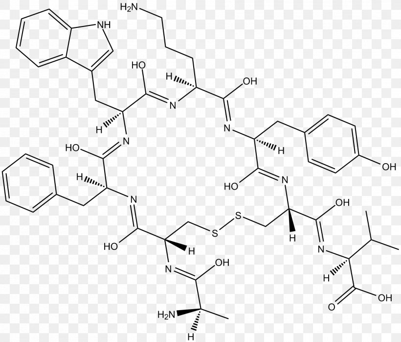 Drawing Product /m/02csf Point Angle, PNG, 1871x1593px, Drawing, Diagram, M02csf, Parallel, Point Download Free