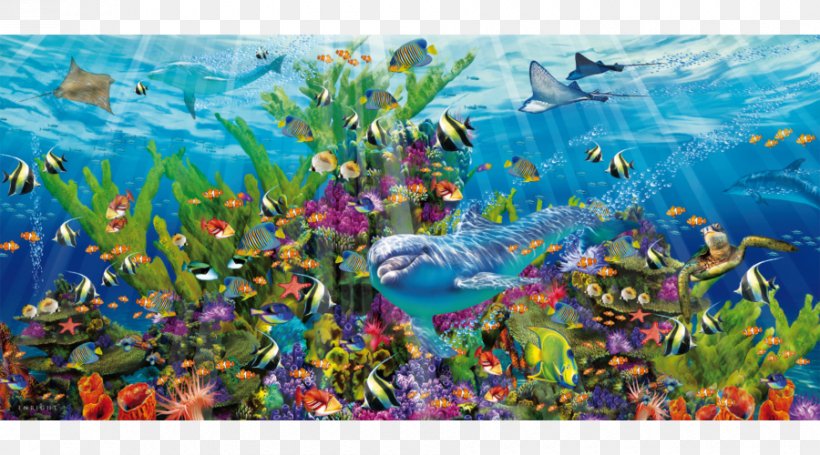 Jigsaw Puzzles Coral Reef Educa Borràs Game, PNG, 900x500px, Jigsaw Puzzles, Aquarium, Coral, Coral Reef, Coral Reef Fish Download Free