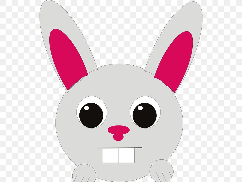 Lionhead Rabbit Easter Bunny Clip Art, PNG, 552x618px, Lionhead Rabbit, Carnivoran, Cartoon, Cat, Cuteness Download Free