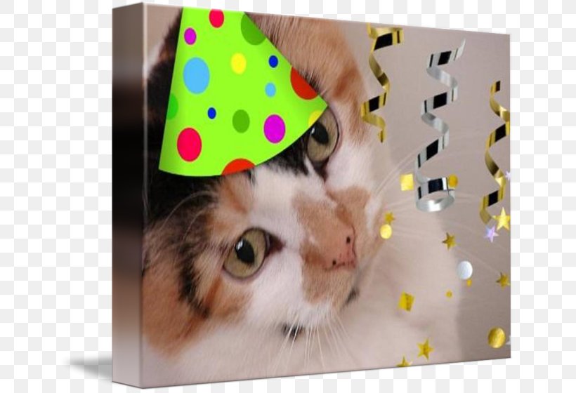 Cat Whiskers Paper Kitten Birthday, PNG, 650x560px, Cat, Birthday, Calico, Calico Cat, Carnivoran Download Free