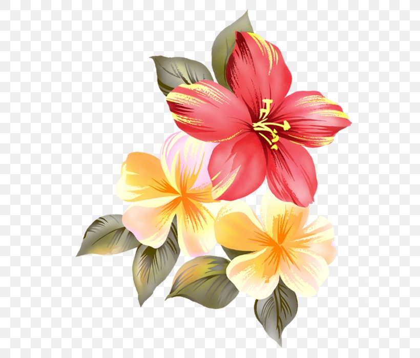 Cut Flowers Floral Design Clip Art, PNG, 622x699px, Flower, Amaryllis Belladonna, Cut Flowers, Floral Design, Flower Bouquet Download Free