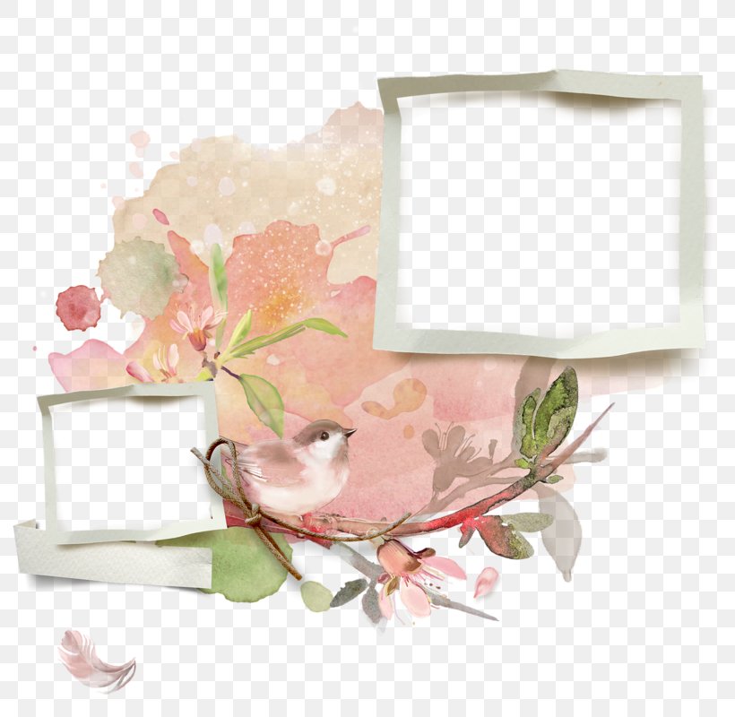 Floral Design Cut Flowers Artificial Flower Picture Frames, PNG, 800x800px, Floral Design, Artificial Flower, Cut Flowers, Floristry, Flower Download Free