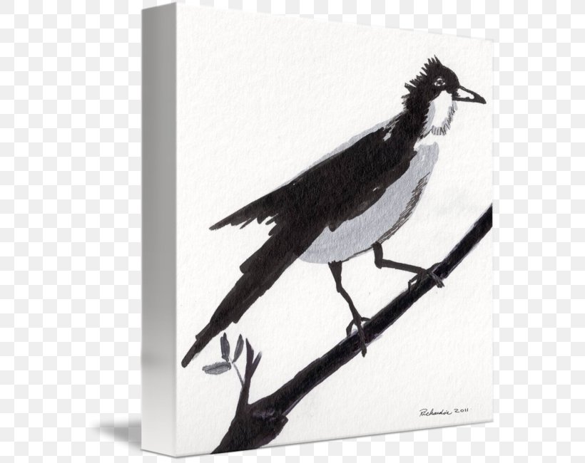 Paper Drawing Inkstick Zen, PNG, 576x650px, Paper, Advertising, Art, Beak, Bird Download Free