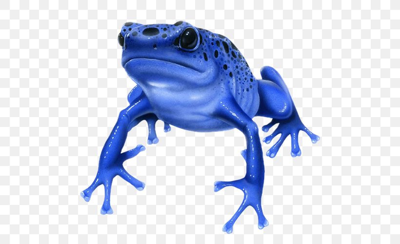 Blue Poison Dart Frog Amphibians Poison Dart Frogs, PNG, 500x500px, Frog, Amphibian, Amphibians, Animal, Animal Figure Download Free
