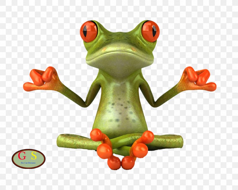 Frog Drawing Animation Clip Art, PNG, 1000x800px, Frog, Amphibian, Animation, Cartoon, Drawing Download Free