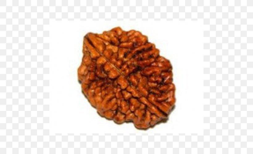 Rudraksha Mahadeva Parvati India Nepali Language, PNG, 500x500px, Rudraksha, Ardhanarishvara, Bead, Cookie, India Download Free