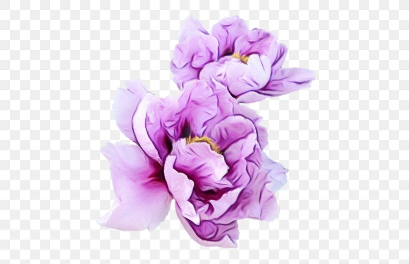 Violet Flower Purple Garden Roses, PNG, 500x529px, Violet, Aesthetics, Artificial Flower, Color, Cut Flowers Download Free