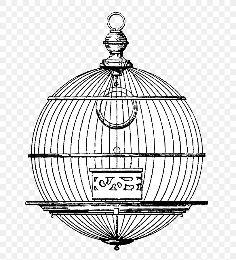 Birdcage Drawing, PNG, 764x904px, Birdcage, Art, Bird, Black And White, Cage Download Free