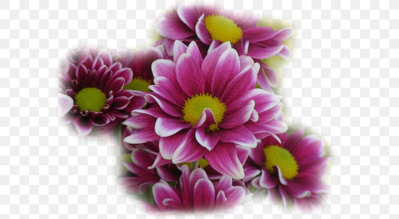 Flower Still Life Floral Design Clip Art, PNG, 600x450px, Flower, Annual Plant, Blog, Chrysanthemum, Chrysanths Download Free