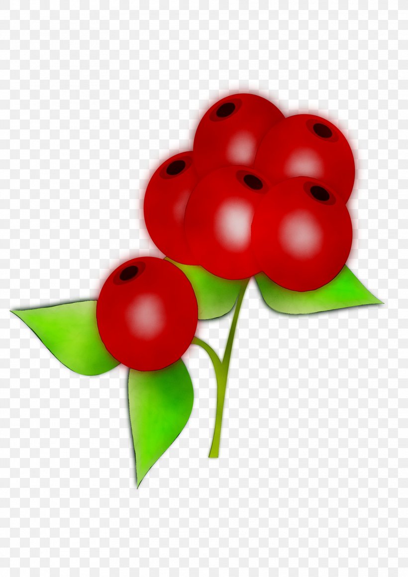 Fruit Flower Balloon RED.M, PNG, 1917x2711px, Fruit, Balloon, Berry, Cherry, Currant Download Free