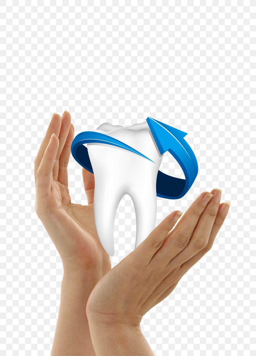 Human Tooth Dentistry, PNG, 805x1139px, Tooth, Deciduous Teeth, Dentistry, Finger, Hand Download Free