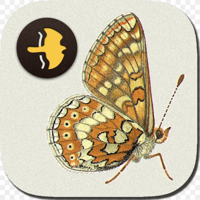 Monarch Butterfly Moth Collins Bird Guide, PNG, 1000x1002px, Monarch Butterfly, App Store, Arthropod, Bird, Birdwatching Download Free