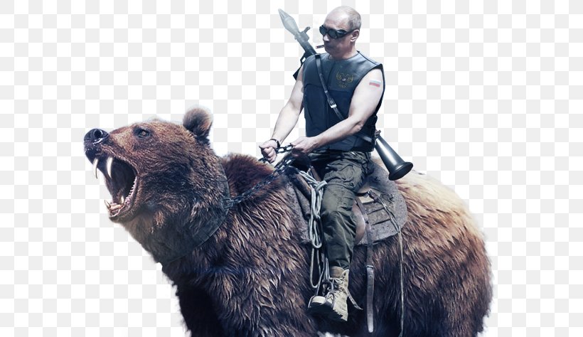 Russian Armed Forces Bear Military Exercise, PNG, 600x474px, Russia, Air Force, Army, Bear, Flag Of Russia Download Free